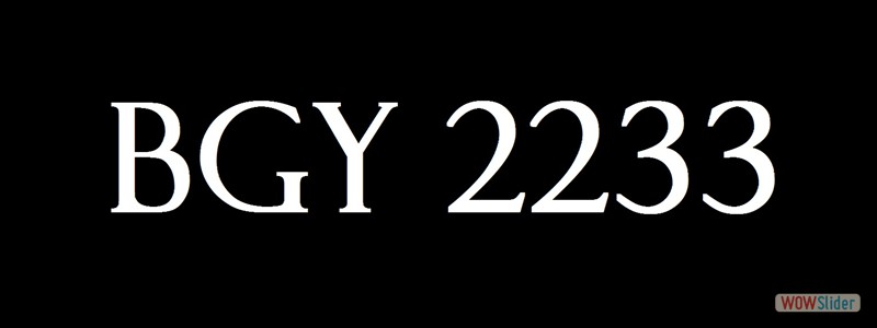 BGY2233
